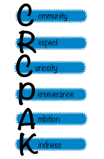 Our values are Resilience, Enthusiasm, Apsirattion, Curiosity, Honesty